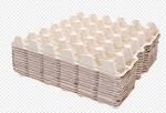 Multi - layer Paper Pulp Newspaper Egg Tray Equipment 3000pcs Per Hour