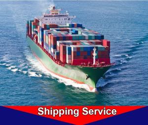 Quality Fast Door To Door Sea Freight Forwarder Shanghai - New York Houston wholesale