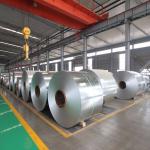 Q195 Q235 Prime Full Hard Cr Coil 685mm Width