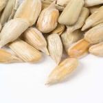 China manufacturers wholesale confectionery grade sunflower seed kernel for