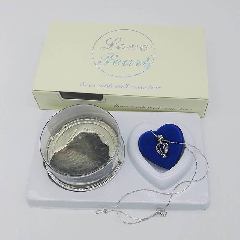 Custom Color Box Love Pearl Necklace Gift Box With Fashion Cage Pendant for Birthday or Holiday Gift