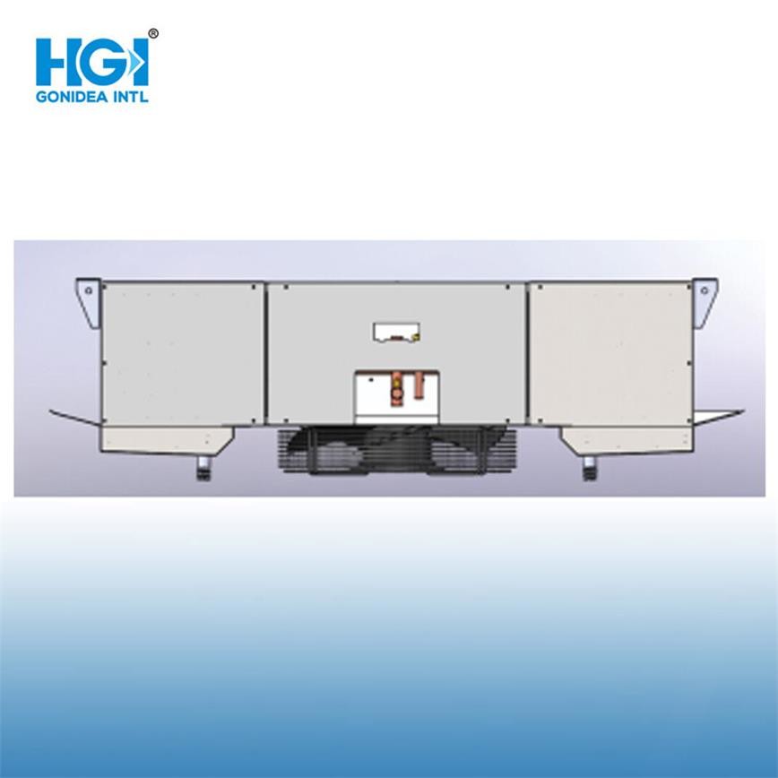 Double Side Blow Air Cooler Unit Commercial Heat Exchanger Cold Room Evaporator