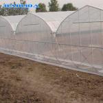 Sunlight Plastic Film Greenhouse / Plastic Sheeting Rolls Greenhouse