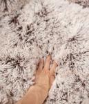 Winter Bed Warm Mat Soft Fleece Pet Cushion House Cozy Calming Beds For Pet Dog