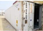 20RH Refrigerated Storage Reefer Container House