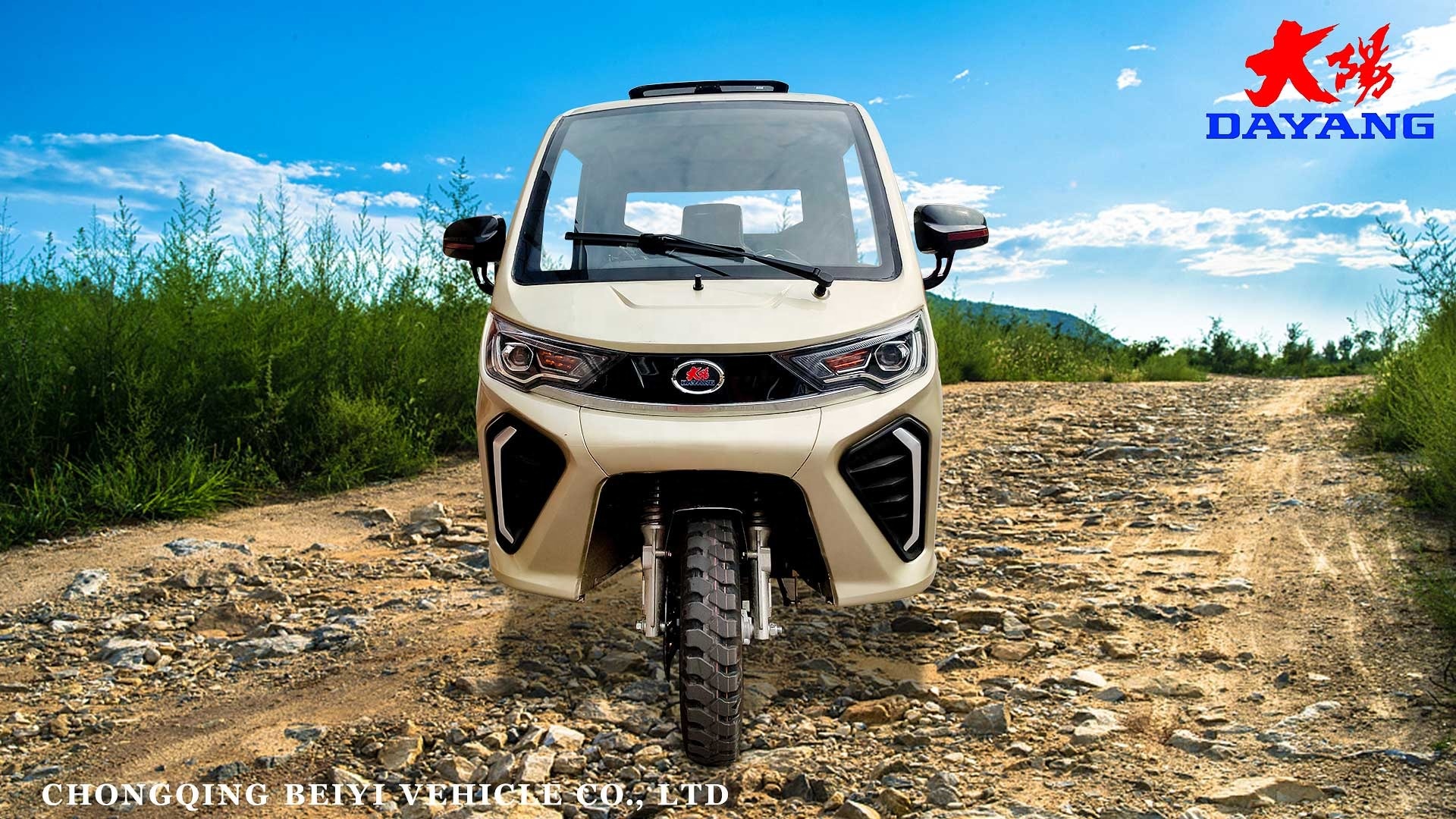3 Wheels Gas/Petrol Fuel Adult 250CC Cargo Tricycle Open Body Type with Displacement 250cc