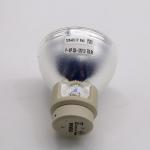 DWU550 Christie Projector Lamps