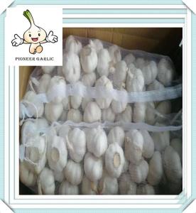 Quality Hot-sale Chinese pure white normal white garlic price 2016 wholesale
