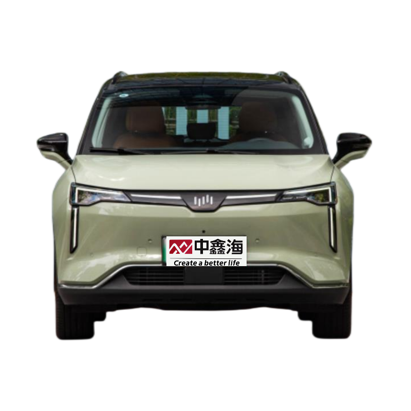 2022 top supply Suv electric vehicle Wei mar 2021 520km CHINA NEW DESIGN