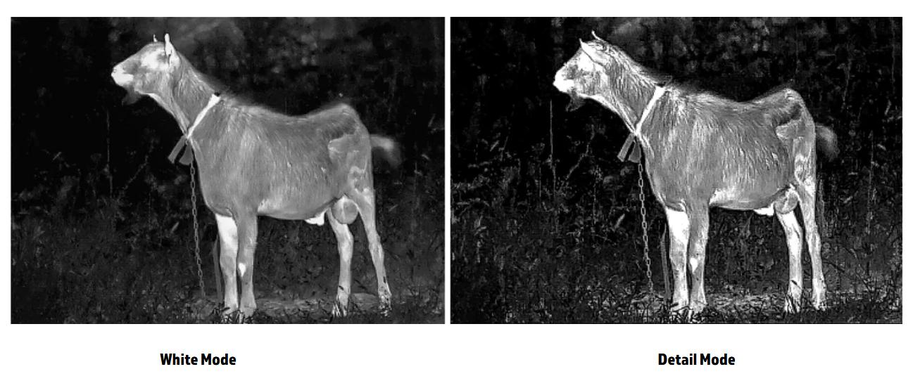 Detecting Animals Thermal Imaging 12um 384 X 288 Thermal Scope