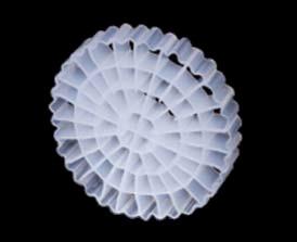 Quality Biodegradable ISO White Color HDPE MBBR In Wastewater Treatment 5mm wholesale