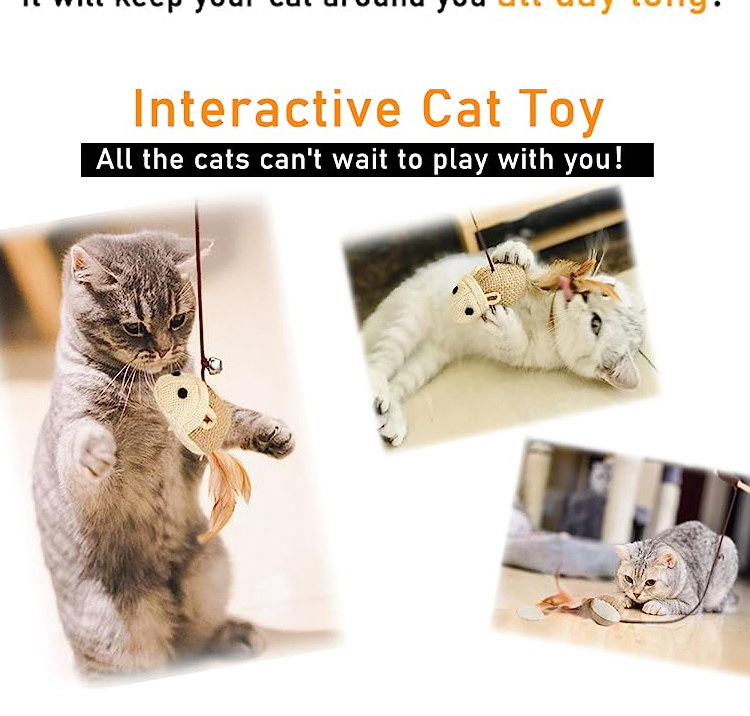 Cat Teaser Stick Cat Toys Juguetes para Gatos Pet Toys Products for Your Feline Friend Picture Included
