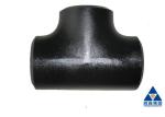 DN200 Equal Tee Pipe