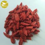 High Quality Bag Package Qinghai Chinese Organic Wolfberry/Goji berry/red medlar