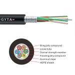 48 Core Single Mode Armored Duct GYTA Optic Fiber Cable