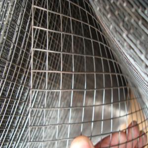 Quality Galvanized Welded Wire Mesh wholesale