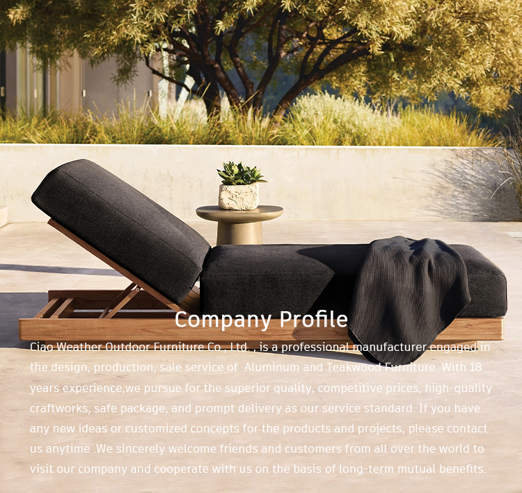 Wood Modern Villa Balcony Pool Chaise Patio Outdoor Furniture Garden Teak Sun Loungers with Waterproof Cushions