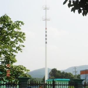 Quality Microwave Mobile Telecom Monopole Imitated Date Palm Tree wholesale