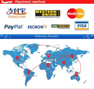 Quality General Goods Economic Express Shipping Service From China To Algeria wholesale