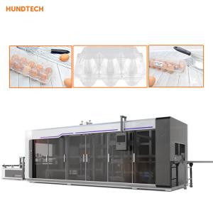 Quality Chicken Egg Tray Making Machine 4.5KW Diaphragm Servo Production wholesale