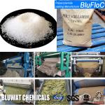 Anionic Polyelectrolyte Flocculants For Flotation Dewatering and Water Treatment