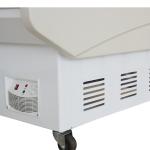 Portable Meat Display Freezer