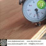 rotary sapele veneer furniture plywood