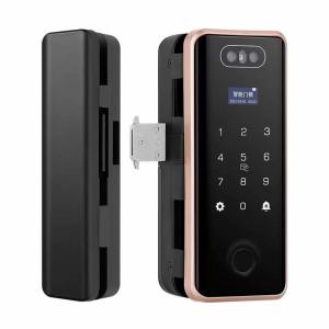 Glass Face Recognition Door Lock Fingerprint Password Tuya Wifi Lock For Office