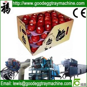 Quality apple fruit tray processing machinery wholesale