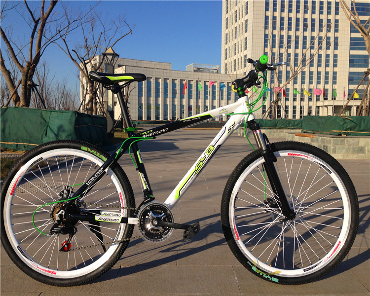 Hot sale OEM 21 speed double wall rim black hi ten steel 26 size mountain bicycle with suspension