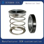 BERGMAN TYPE/T21S Inch Graphite Silicon Carbide Tungsten Carbide Nitrile Viton