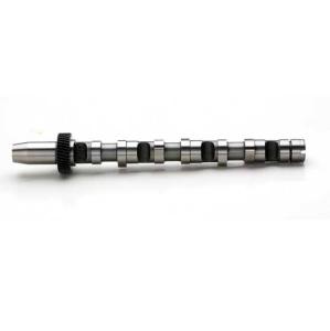 Quality brand new 059109021BP engine Camshaft wholesale