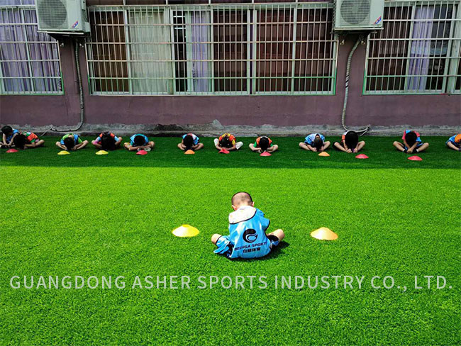 Ornamental Indoor Natural Artificial Turf 30mm Pile Height Grass Carpet Type