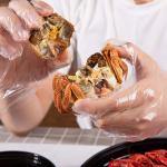Plastic Hand Disposable Kitchen Gloves For Cooking Cleaning Safety Food Handling