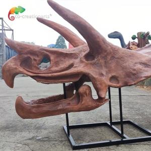 Quality Jurassic World Replica Triceratops Skeleton Sunproof For Museum wholesale