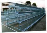 Chicken Egg Livestock Farming Equipment Farmer Automatic Poultry Equipment