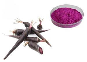 Quality Organic Black Carrot Vegetable Extract Powder For Natural Pigment wholesale