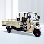 Rear-Axle Full Floating Motorcycle Tricycle 3 Wheel Cargo for Adult Rose Gold