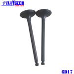 6D17 Intake Valve Exhaust Valve