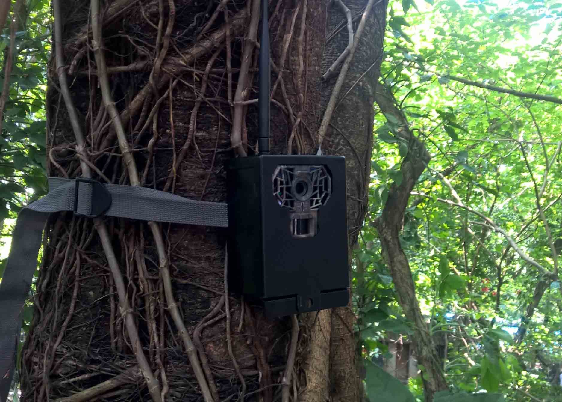 Security Hunting Camera Accessories Stealth Cam Accessories Metal Box With Lock