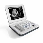 Multipurpose Equine Vet Portable Ultrasound Machine DRF RDA