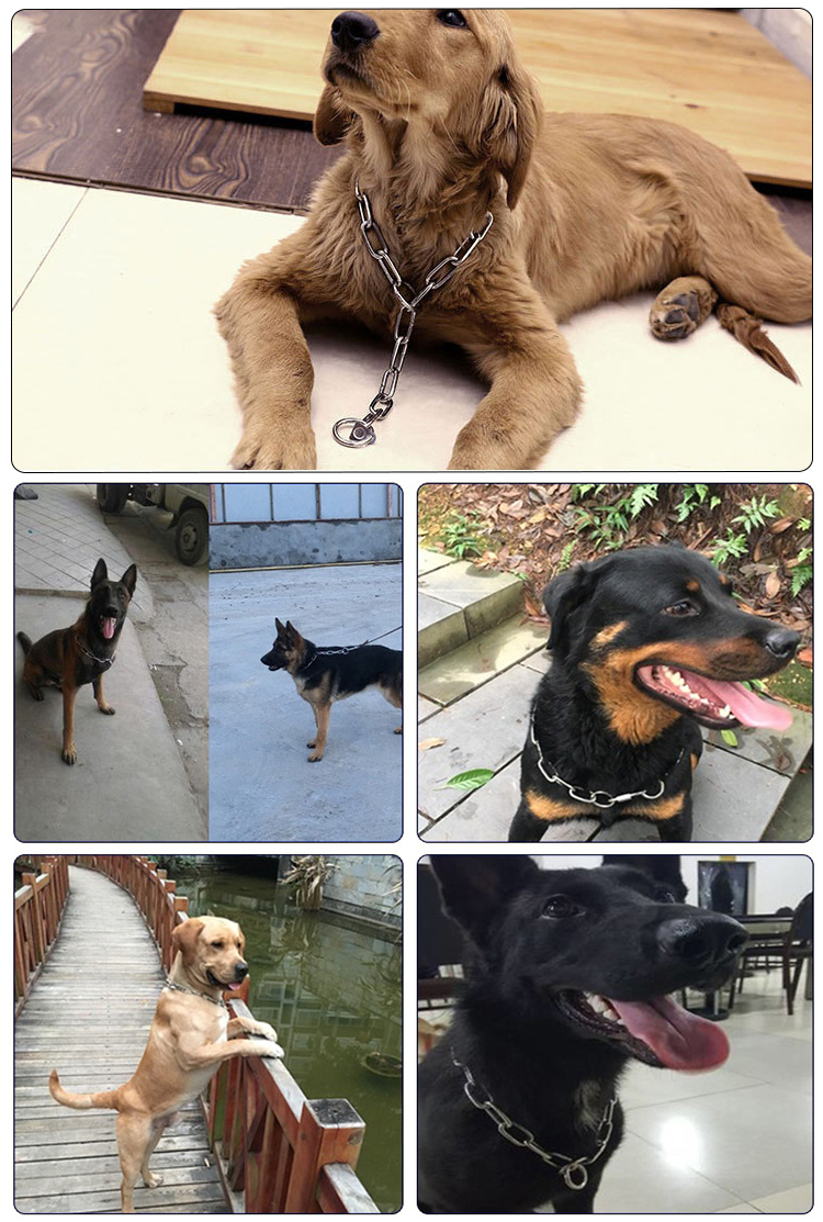 Iron Chains Pet Dog Choke Solid Pattern Performance Popular Style Heavy Duty