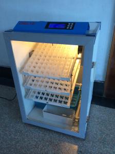 Quality Quail 500 Egg Capacity Incubator Fully Automatic Self Turning 350W wholesale
