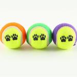 dog fetch toy tennis ball