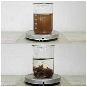 Quality 50 - 55% Solid Content Colour Removal Chemical For Mushroom Food Processing Wastewater wholesale