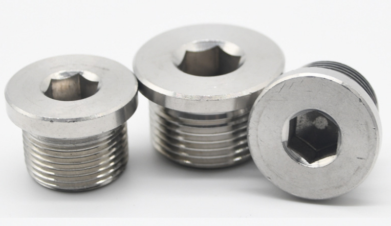 Stainless Steel Pipe Plug DIN908 Hex Socket Head Screw Plugs Internal Drive Screw Plugs 10mm