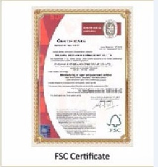 Uncoated Woodfree Offset Paper for Printing Wood Pulp Material Accepted in Production