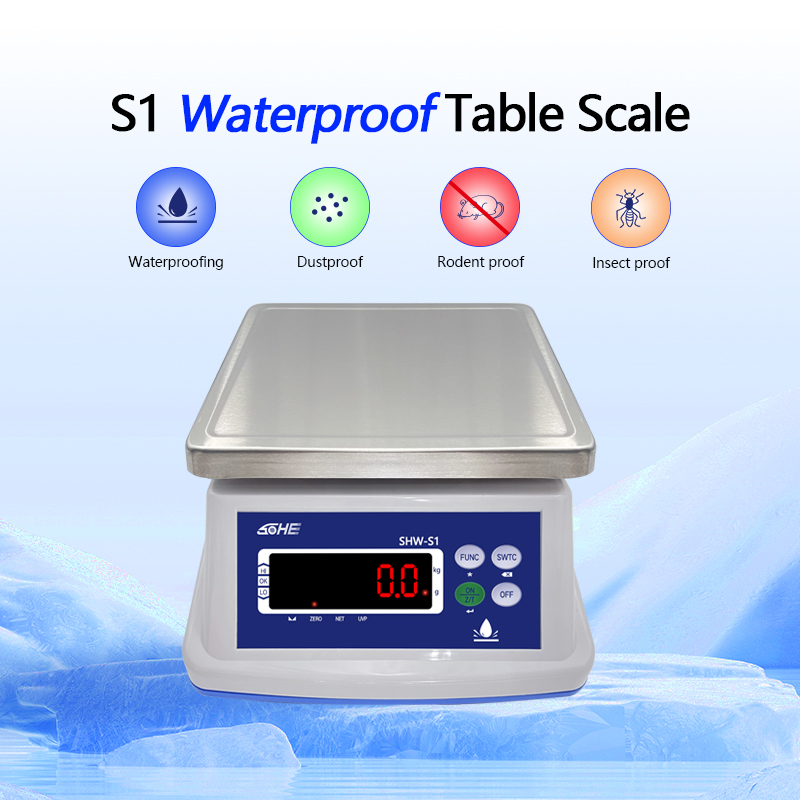 Customizable 6KG Waterproof Scale with Multiple Pricing Units and AC/DC Power Supply