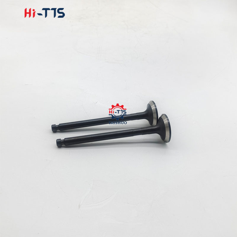 Diesel Engine Parts Exhaust Valve 129007-11110 for 4TNV92 Engine