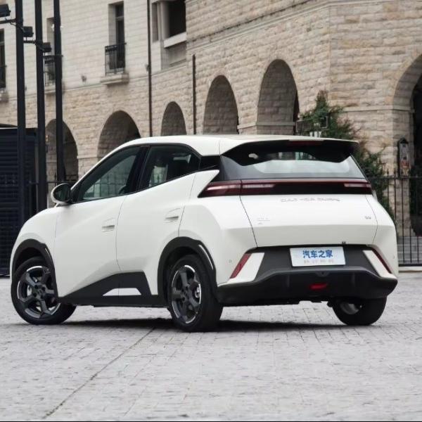 305 Km Max Cruising Range Customized Request Byd Seagull EV Charging Electric